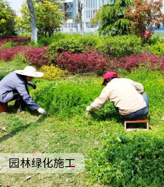 园林绿化施工