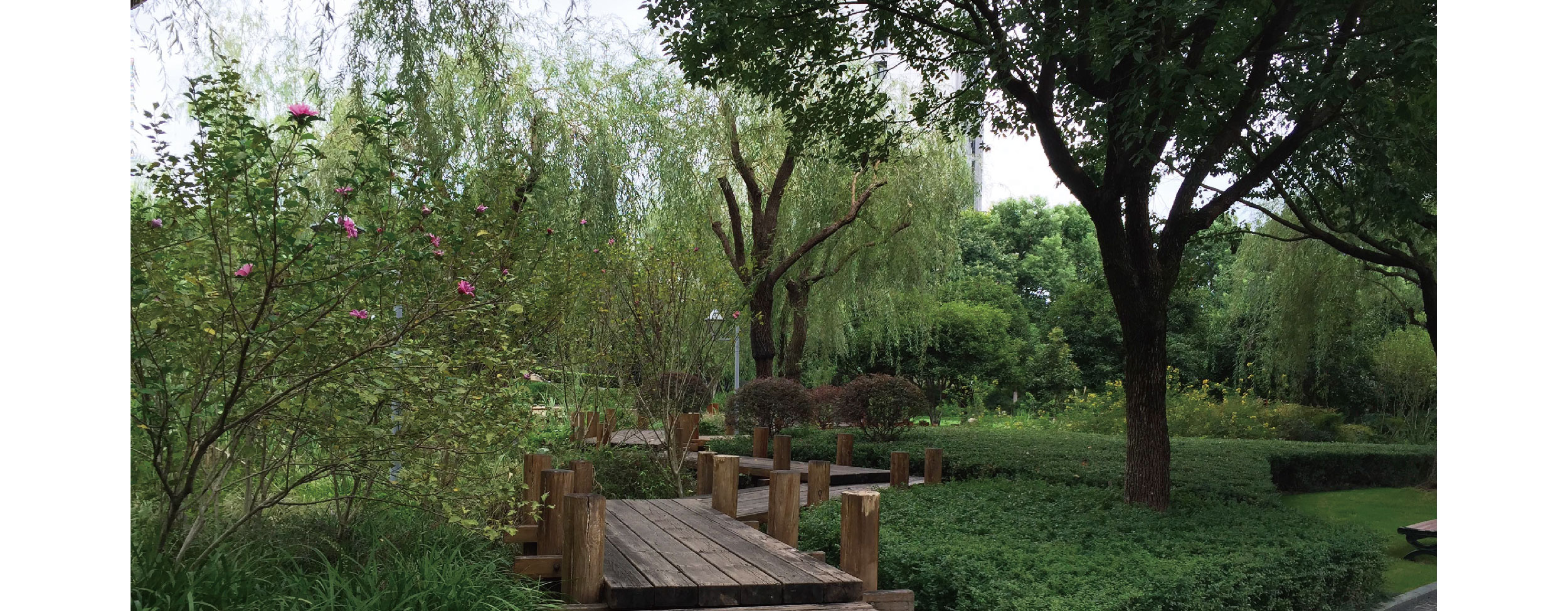 处州公园-084922100.jpg
